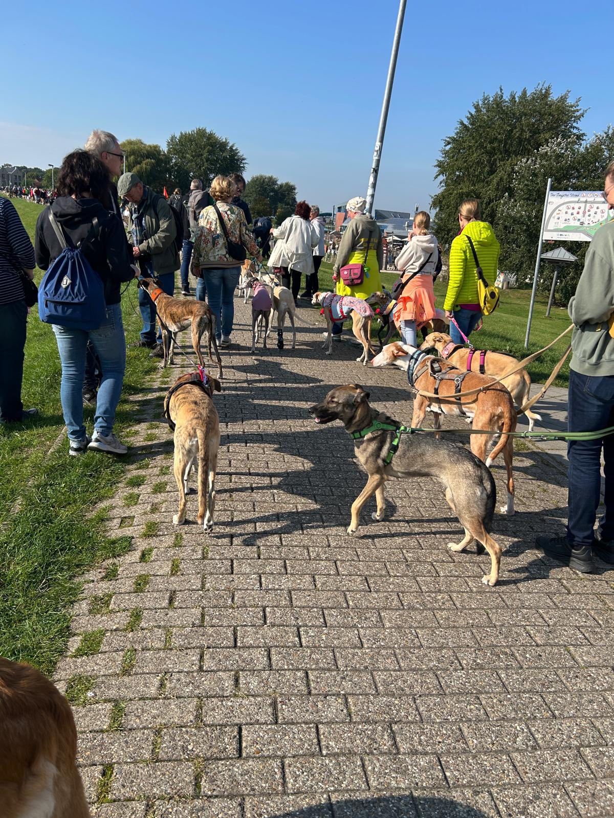 557597215_1439137903864041_6022352499604480621_n
